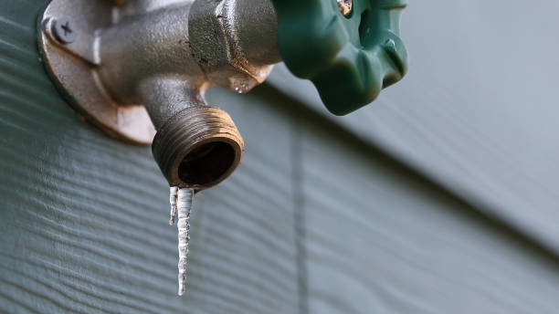 Best Residential Plumbing Services  in Edmonds, WA